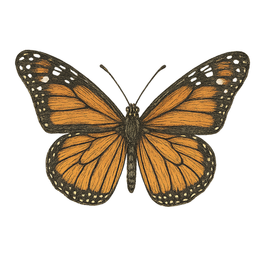 A hand-drawn, tranquil graphic of monarch butterfly – a t-shirt design