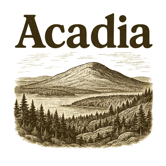 A typographic, nostalgic graphic of a typographic illustration of the words 'acadia' with a vintage line art drawing of cadillac mountain – a t-shirt design
