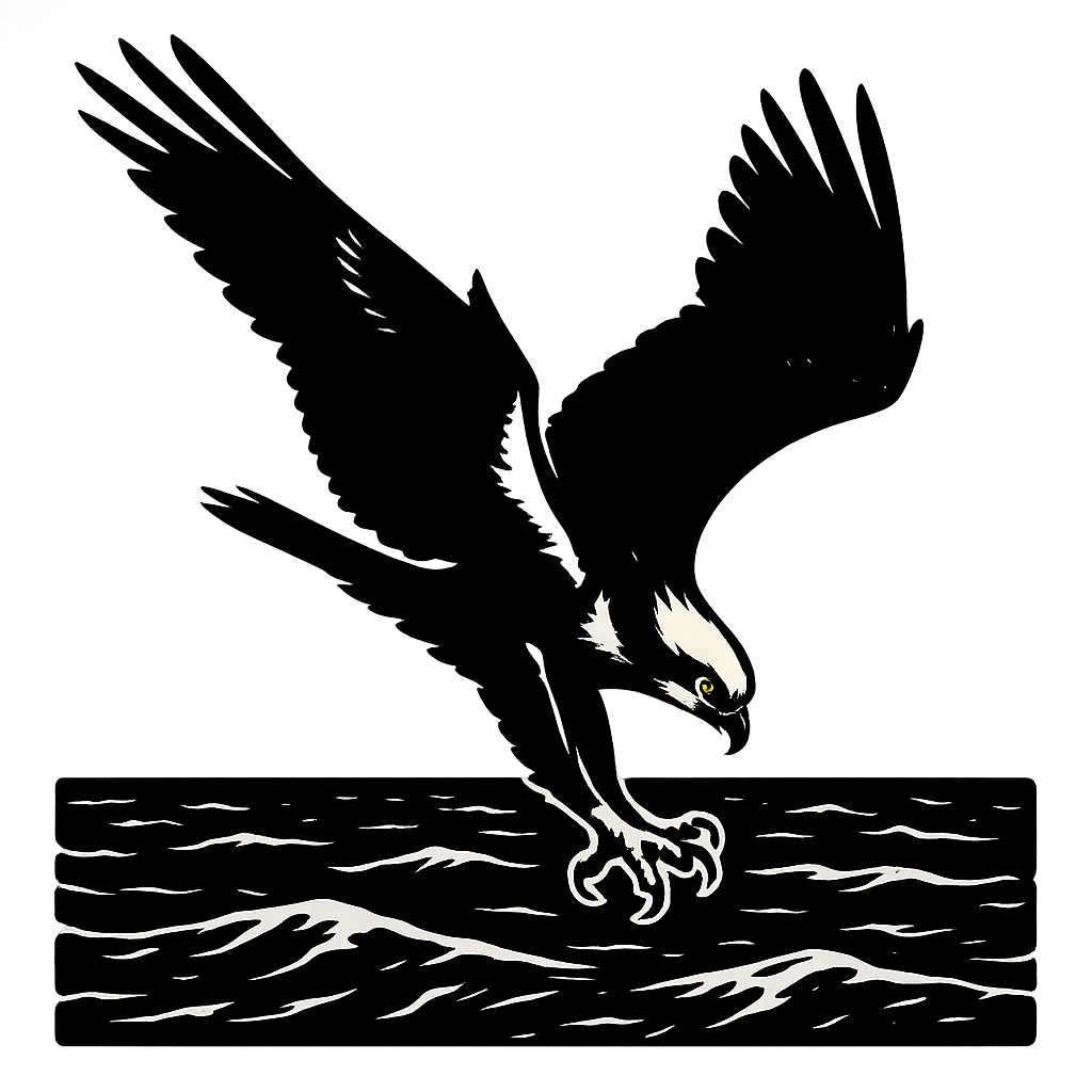 A high-contrast silhouette with minimal accent color, powerful graphic of a high-contrast silhouette of an osprey diving with talons extended over the ocean, wings outstretched in dynamic pose, accented with white head markings, transparent background, optimized for dtg printing - a t-shirt design