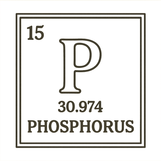A line art, nostalgic graphic of phosphorus's entry on the periodic table, use a dark color for the lines and text – a t-shirt design