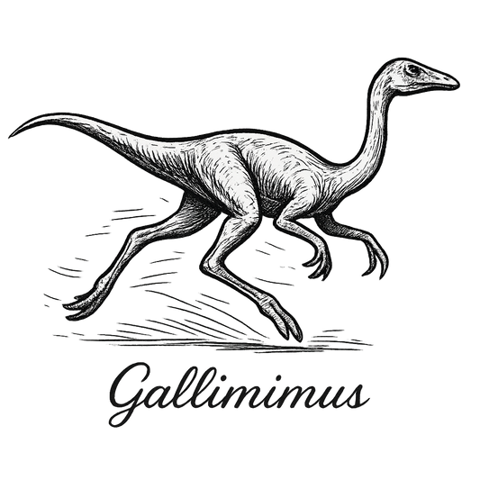 A flat, neutral graphic of a running gallimimus drawn in motion with long limbs and neck. “gallimimus” appears beneath in graceful cursive.ink illustration on a white background. - a t-shirt design