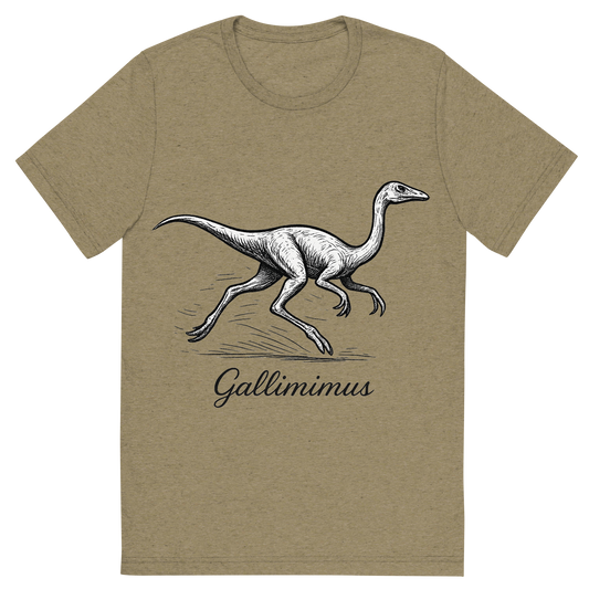 Front view of a Premium Tri-Blend Crew Neck T-Shirt in Olive showing 'A flat, neutral graphic of a running gallimimus drawn in motion with long limbs and neck. “gallimimus” appears beneath in graceful cursive.ink illustration on a white background.'