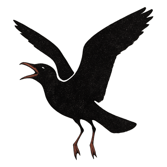 A high-contrast silhouette with minimal accent color, noisy graphic of a silhouette of a laughing gull mid-call with open beak and black head, red bill and legs lightly accented, wings open in flight, transparent background, optimized for dtg printing - a t-shirt design