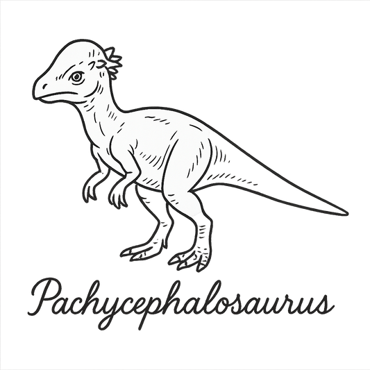 A flat, neutral graphic of a line sketch of a pachycephalosaurus with domed skull and bipedal stance. “pachycephalosaurus” is written below in flowing script. ink illustration on a white background. - a t-shirt design