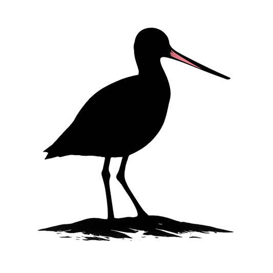 A high-contrast silhouette with minimal accent color, distinct graphic of a silhouette of a marbled godwit in profile, long slightly upturned bill accented in pink, standing on sand flats, transparent background, optimized for dtg printing - a t-shirt design
