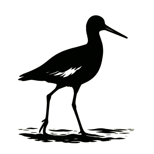 A high-contrast silhouette with minimal accent color, steady graphic of a bold silhouette of a willet standing tall on the shoreline, long legs and bill, with wing patch hints when in motion, transparent background, optimized for dtg printing - a t-shirt design