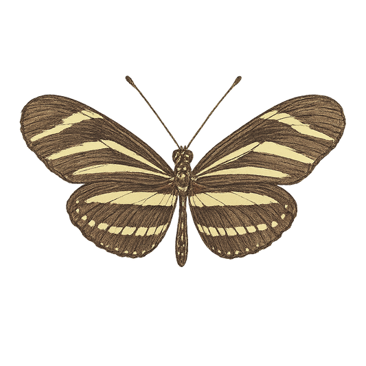 A hand-drawn, tranquil graphic of zebra longwing butterfly – a t-shirt design