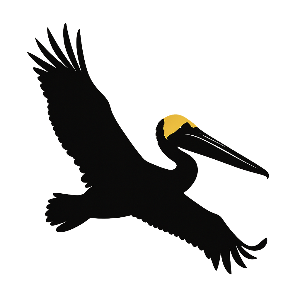A high-contrast silhouette with minimal accent color, majestic graphic of a large silhouette of a brown pelican gliding with wings stretched and pouch visible, yellow crown highlighted in color, transparent background, optimized for dtg printing - a t-shirt design