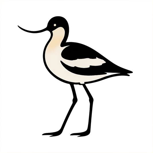 A high-contrast silhouette with minimal accent color, poised graphic of a stylized silhouette of an avocet with its signature upturned bill and long legs, black-and-white body accented with warm buff tones, transparent background, optimized for dtg printing - a t-shirt design