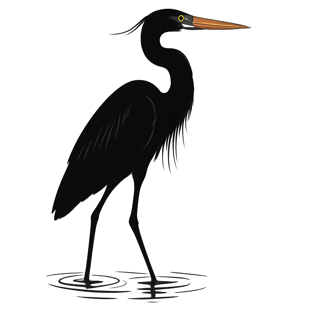 A high-contrast silhouette with minimal accent color, graceful graphic of a tall silhouette of a great blue heron wading in shallow water, with subtle color on the beak and eye, long legs and neck featured, transparent background, optimized for dtg printing - a t-shirt design
