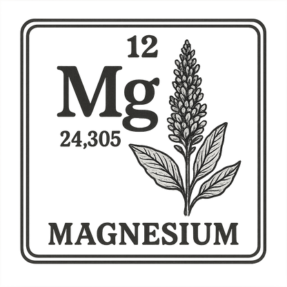 A line art, nostalgic graphic of magnesium's entry on the periodic table, use a dark color for the lines and text – a t-shirt design