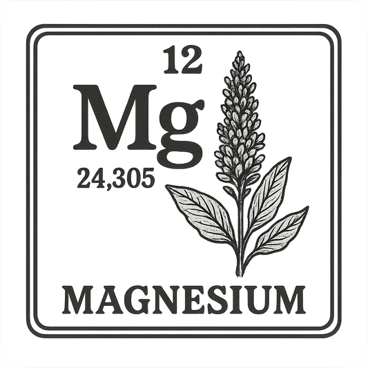 A line art, nostalgic graphic of magnesium's entry on the periodic table, use a dark color for the lines and text – a t-shirt design