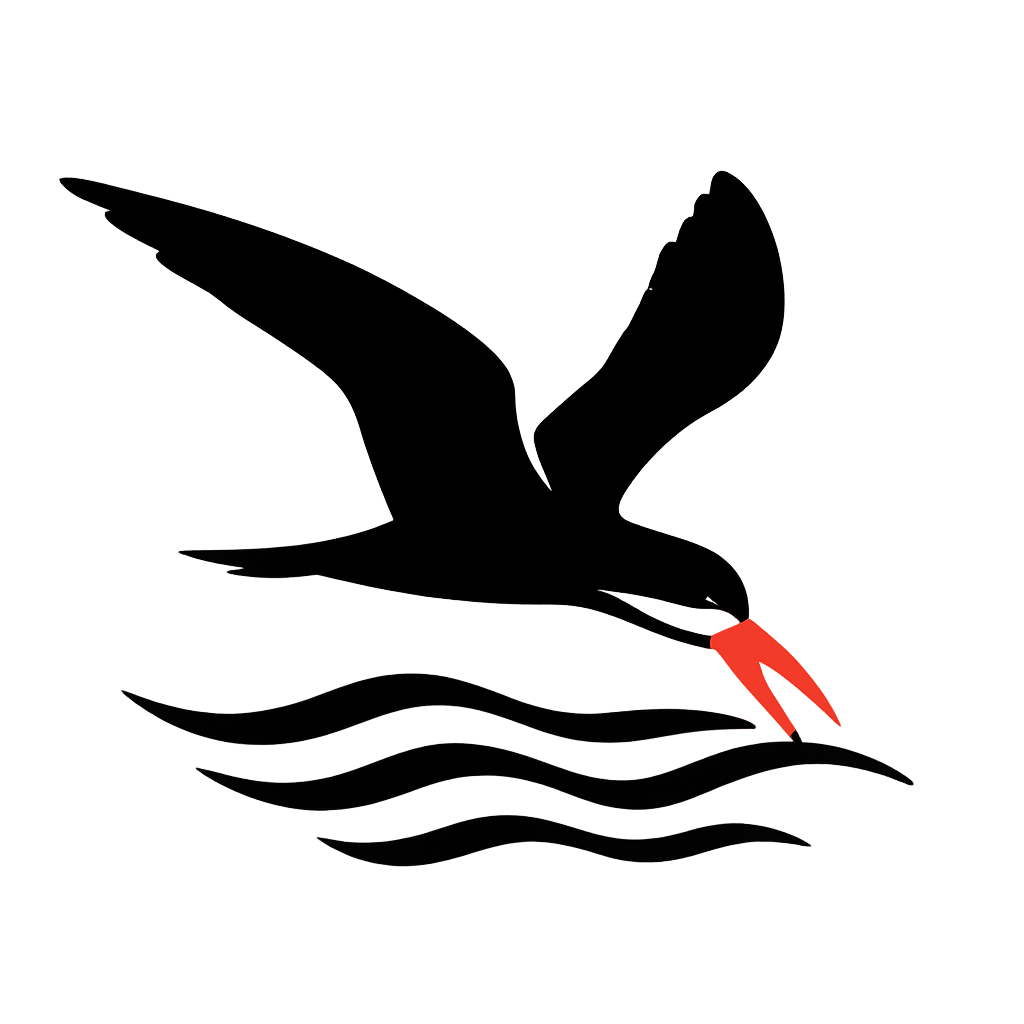 A high-contrast silhouette with minimal accent color, swift graphic of a silhouette of a black skimmer gliding low over the waves with its lower bill skimming the surface, red-orange bill tip highlighted, transparent background, optimized for dtg printing - a t-shirt design