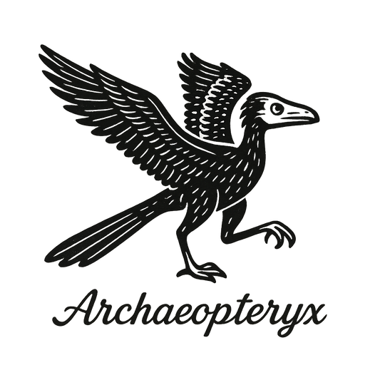 A flat, neutral graphic of a stylized drawing of archaeopteryx with feathered wings and dinosaur tail. “archaeopteryx” appears in script below. ink illustration on a white background. - a t-shirt design